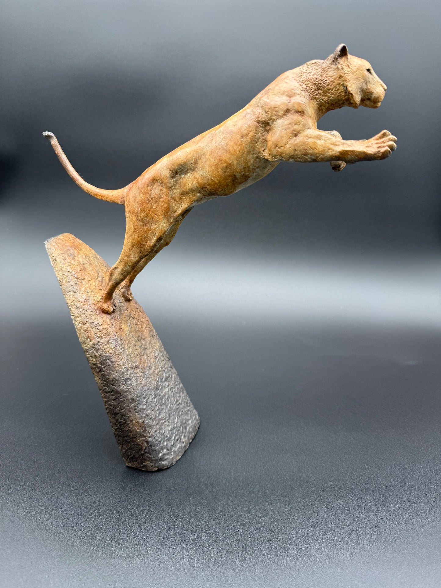 Leaping Tiger