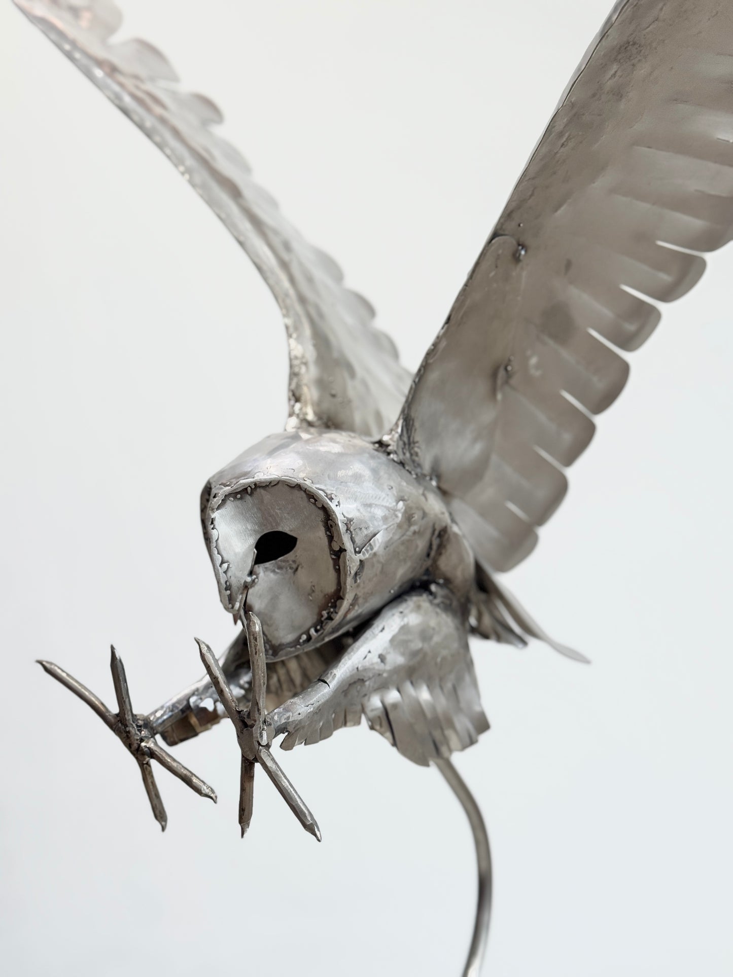 Swooping Owl