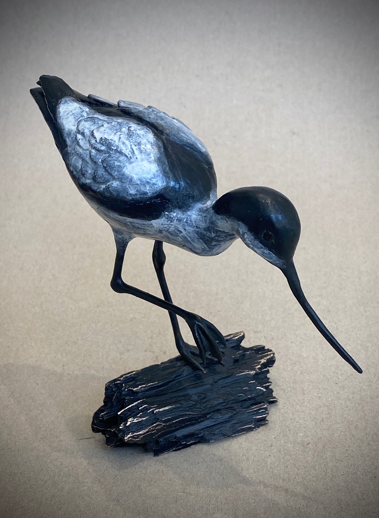 Head Down Avocet