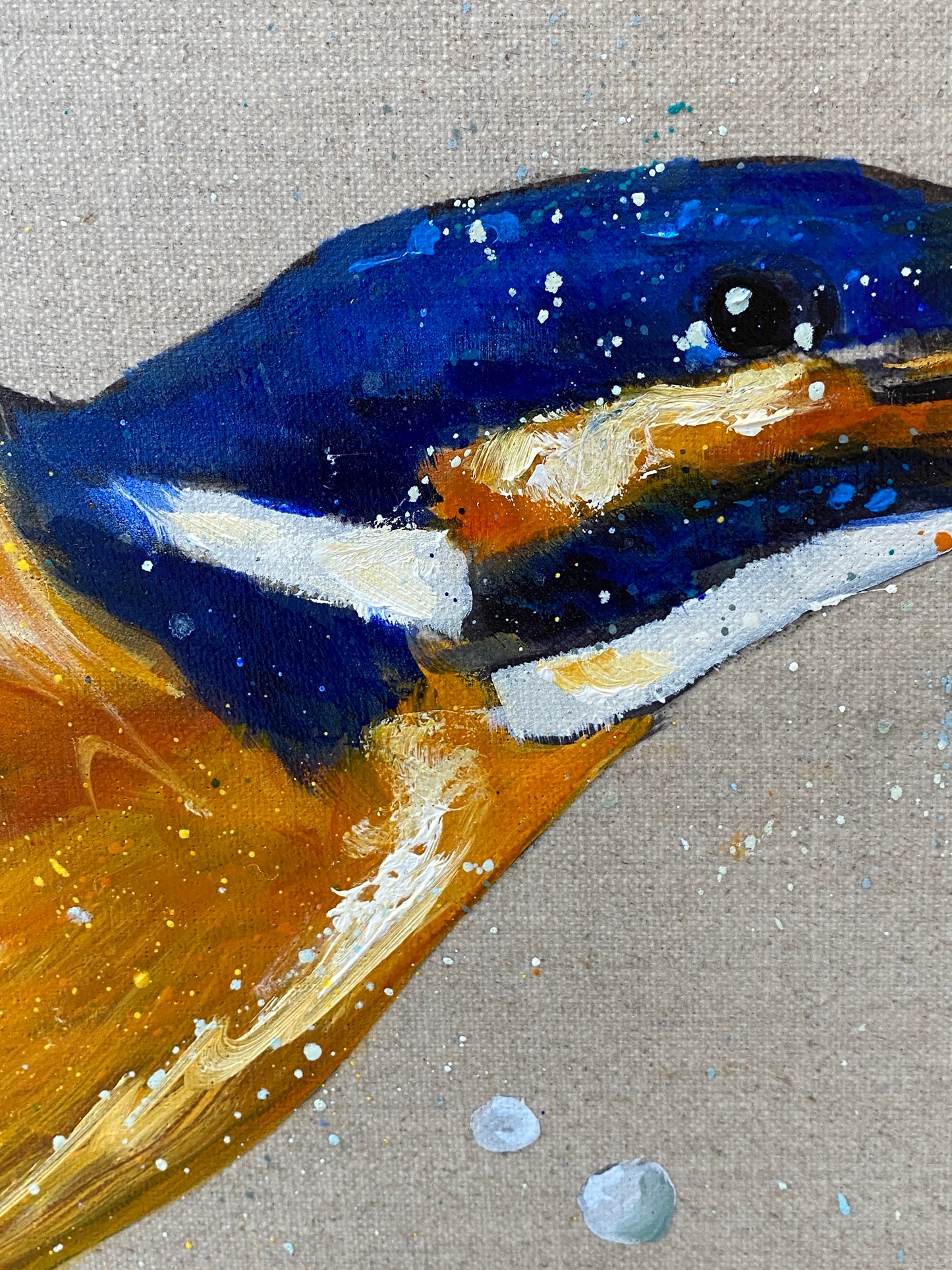 Kingfisher Catch