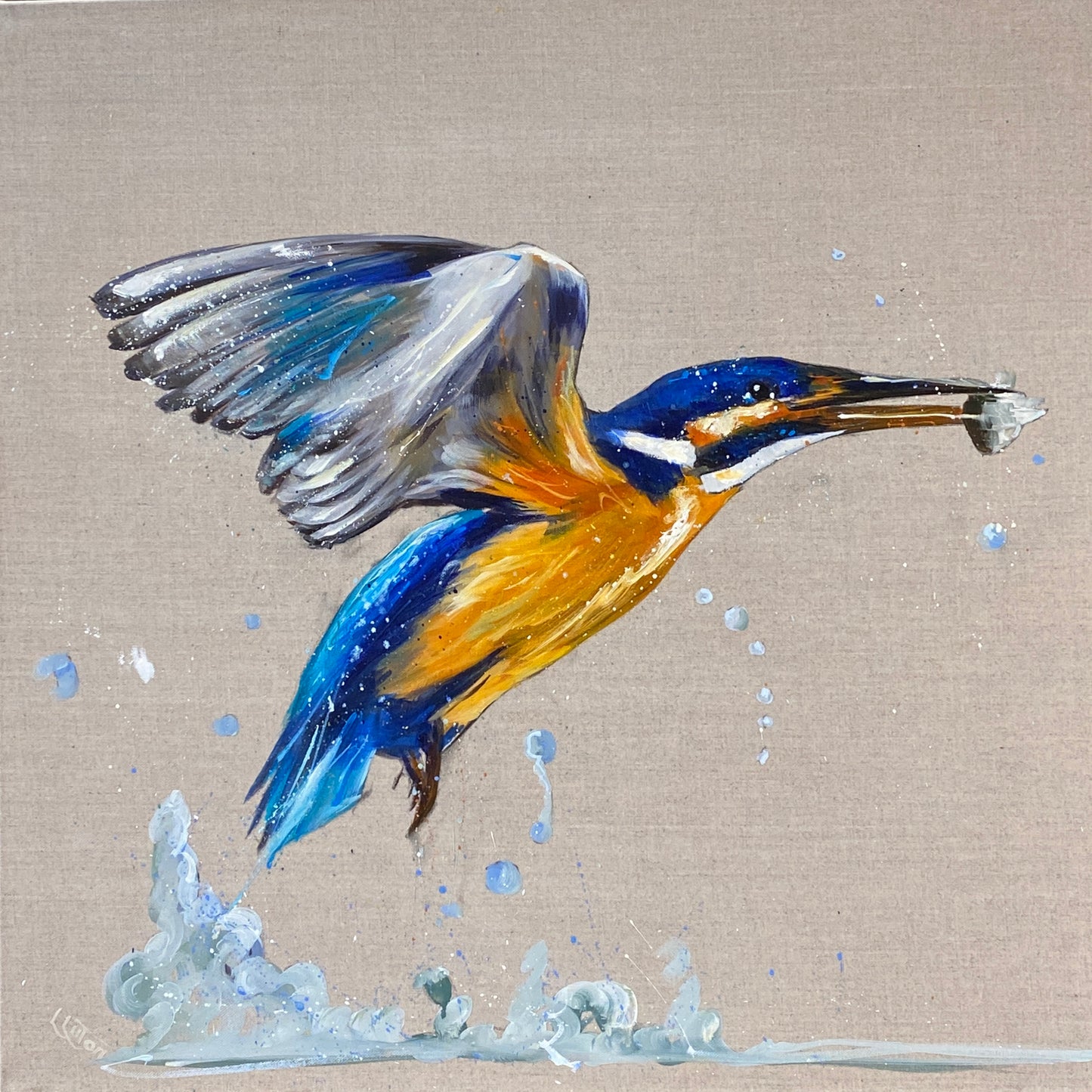 Kingfisher Catch