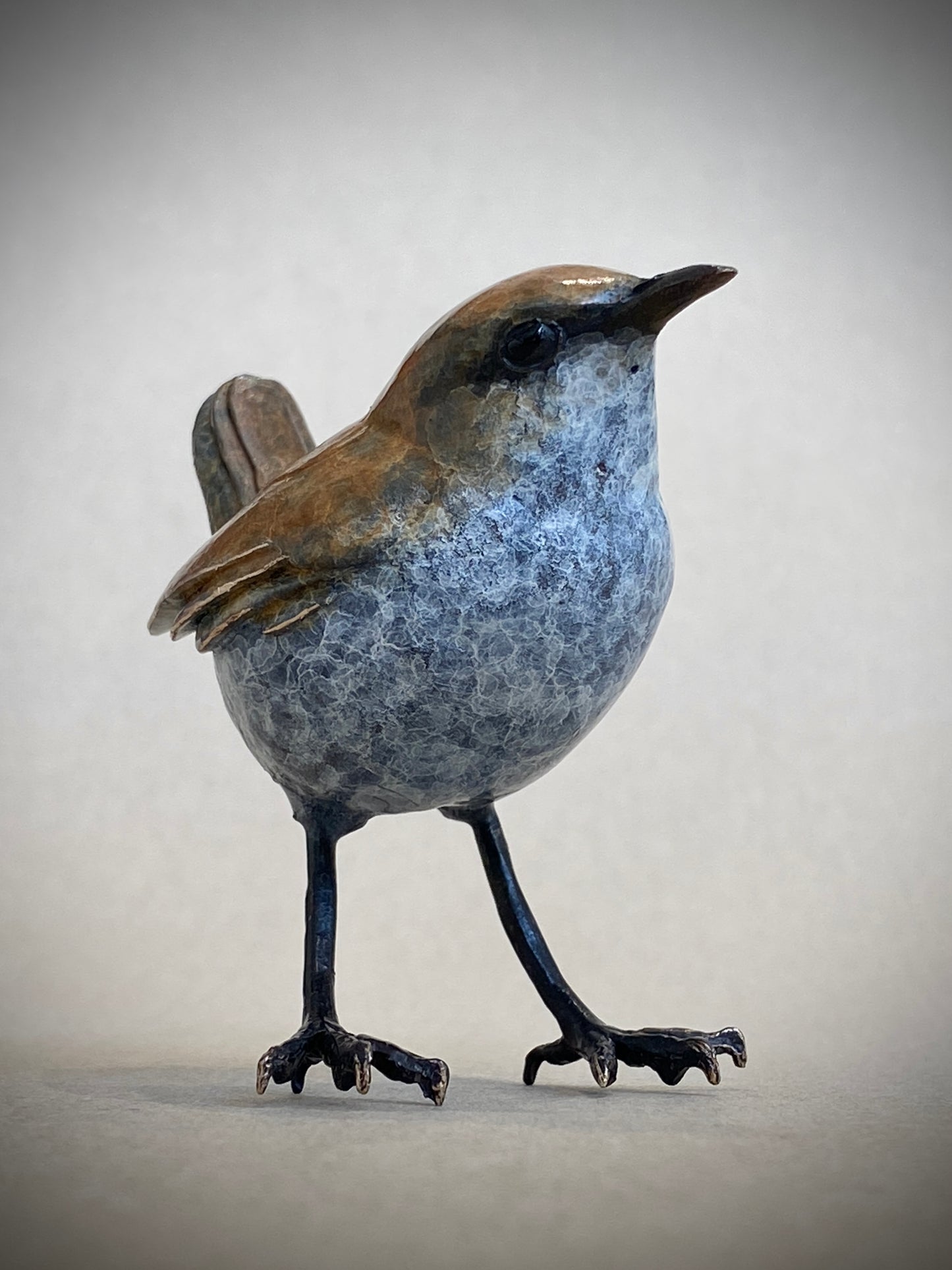 Standing Wren