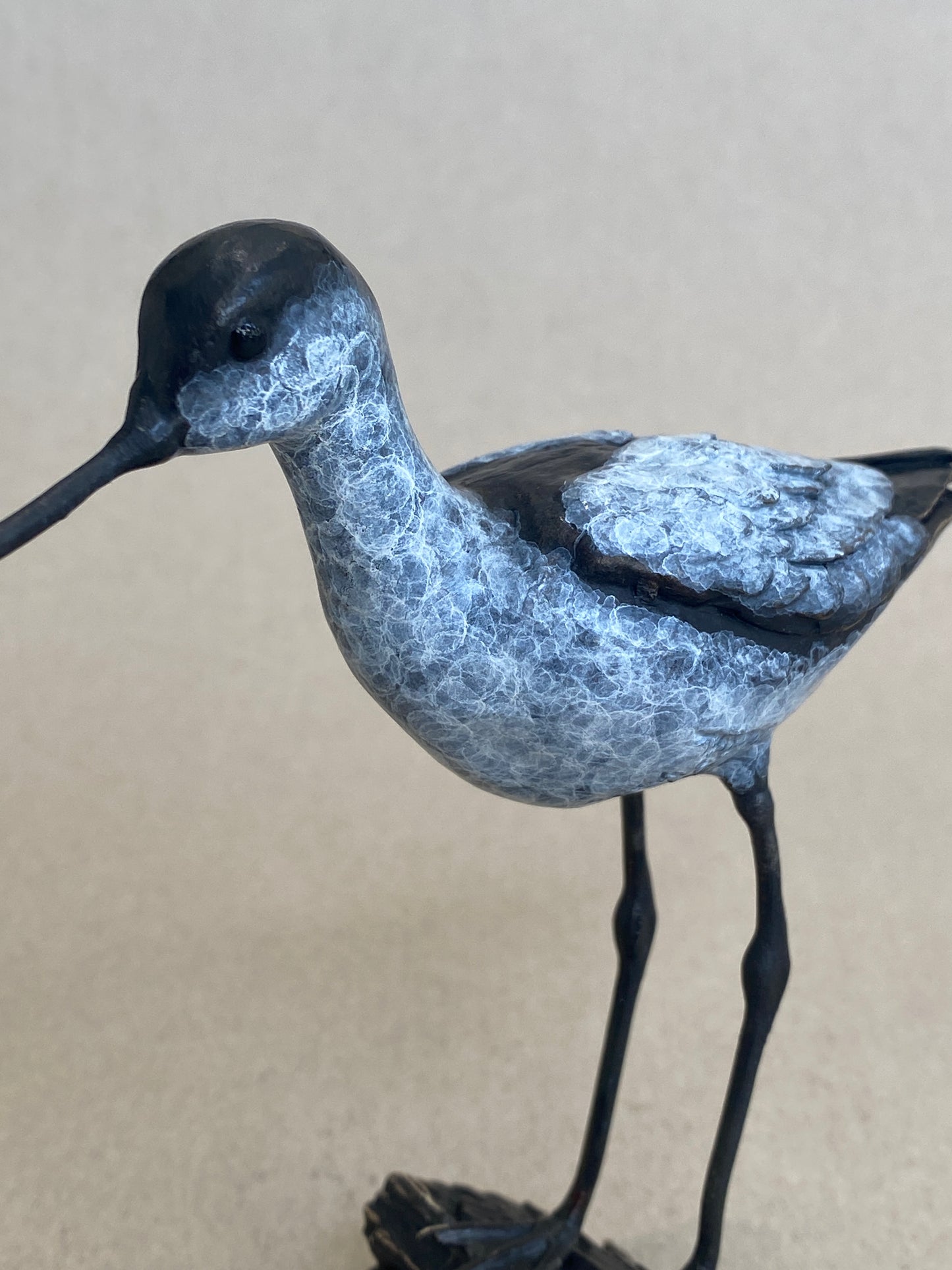 Standing Avocet