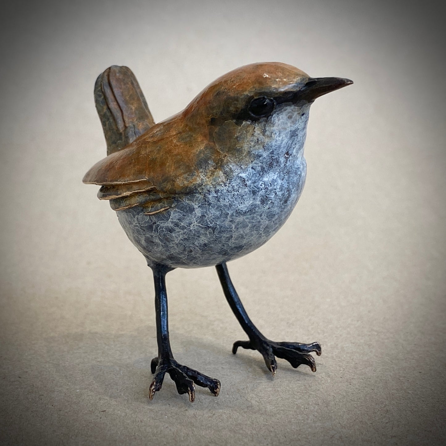 Standing Wren