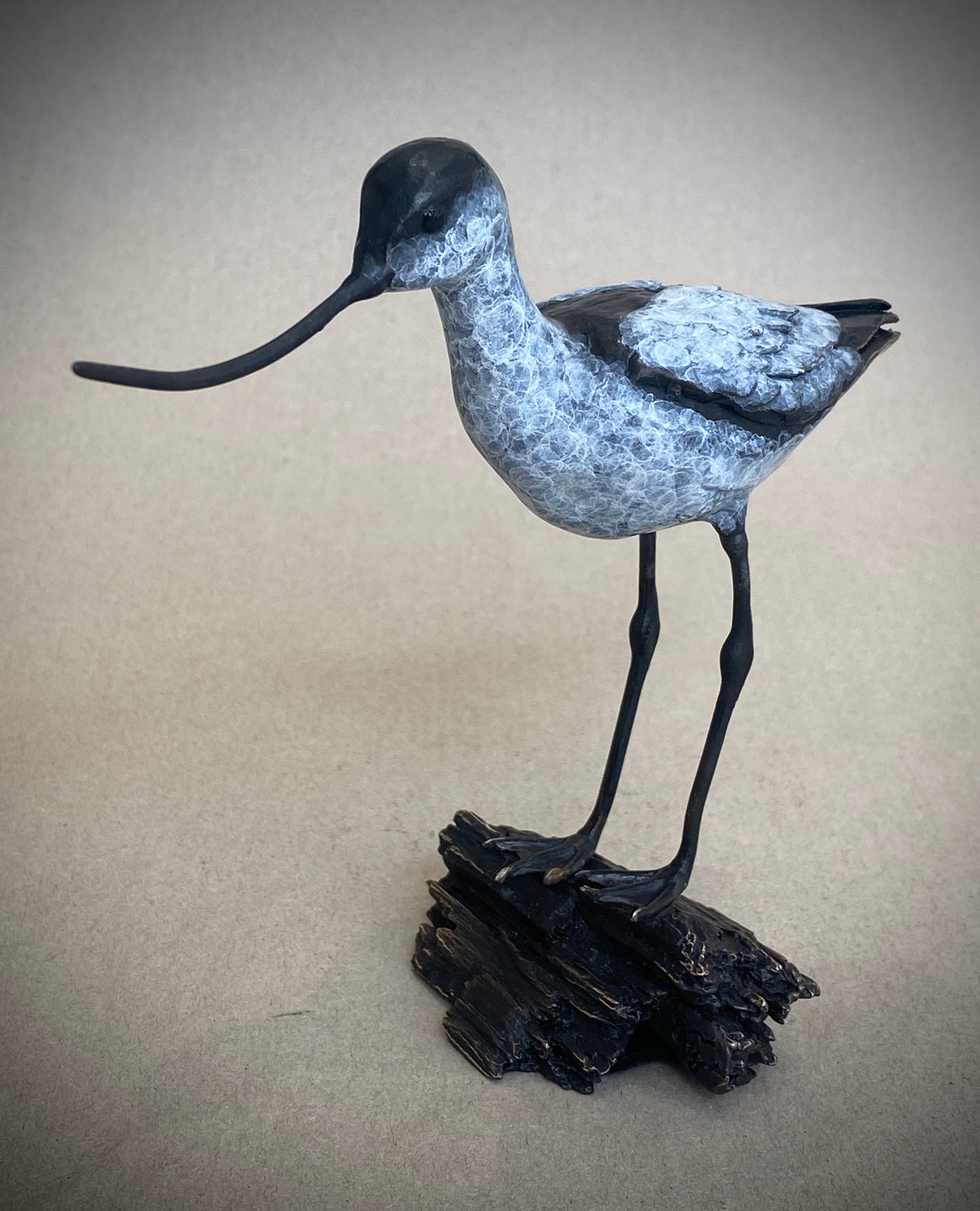 Standing Avocet