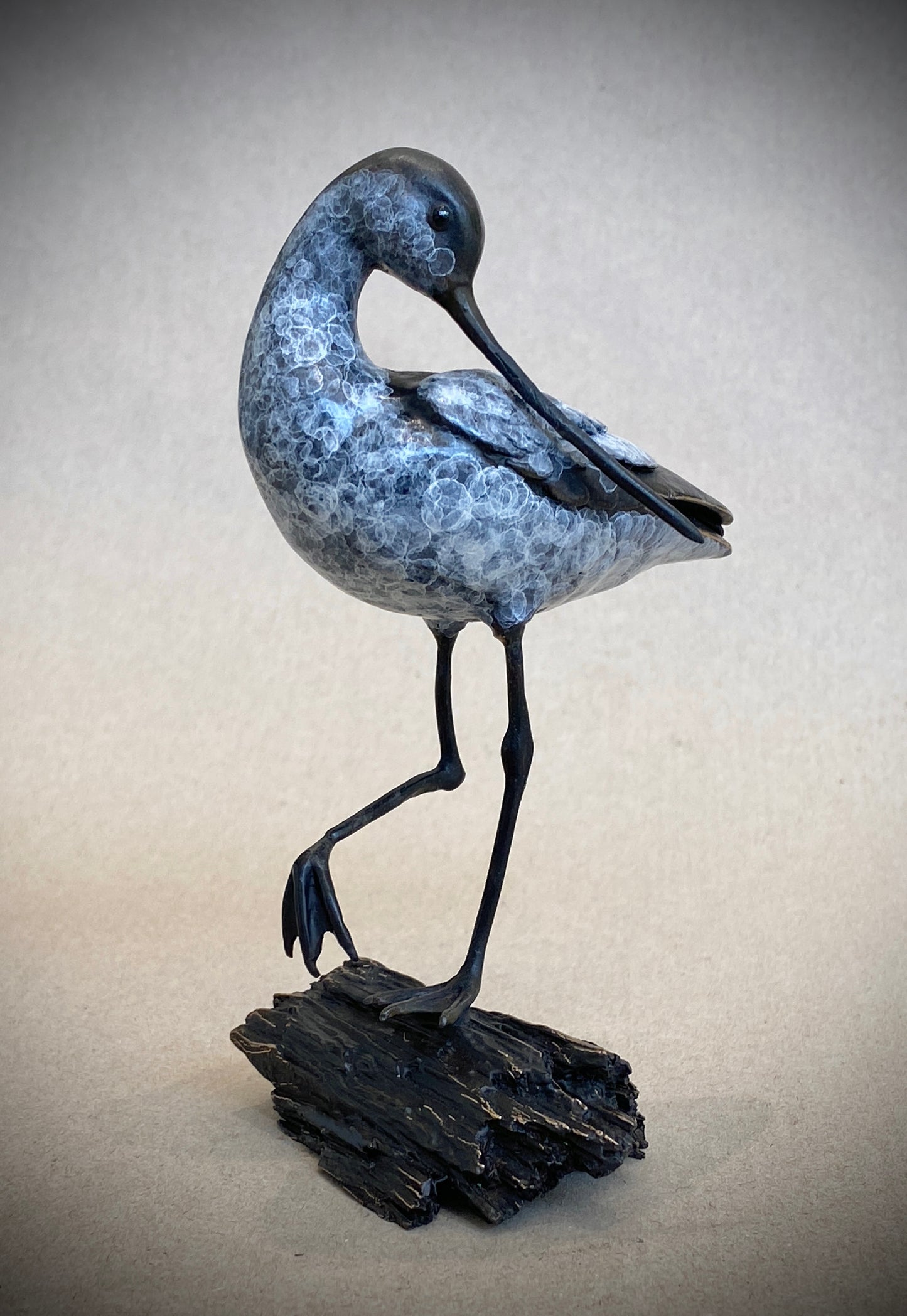 Head Turned Avocet