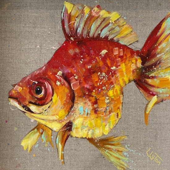 Goldfish Bold