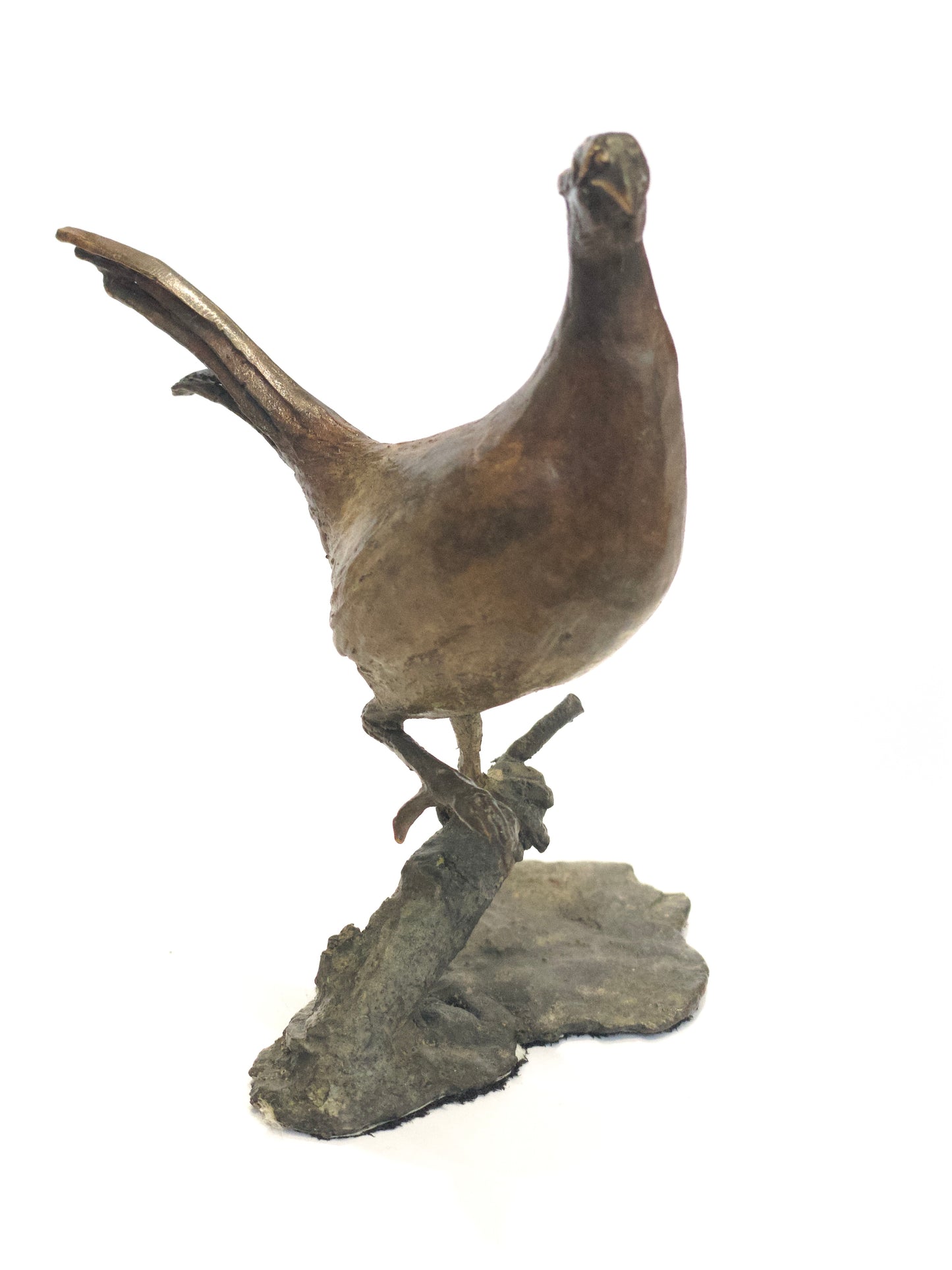 Pheasant