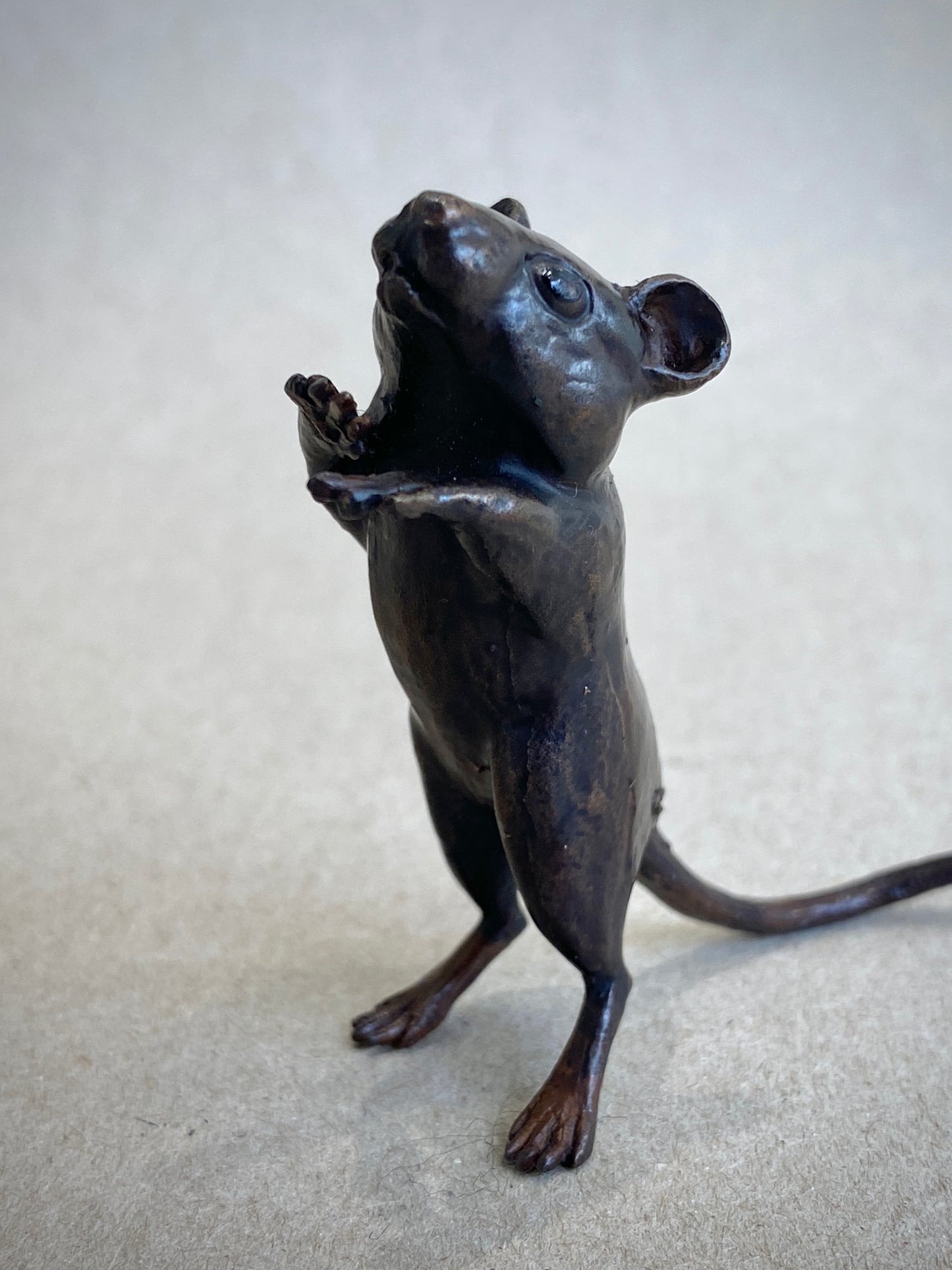 Dormouse
