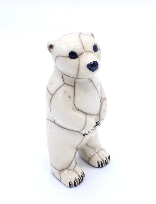 Small Polar Bear Standing Upright