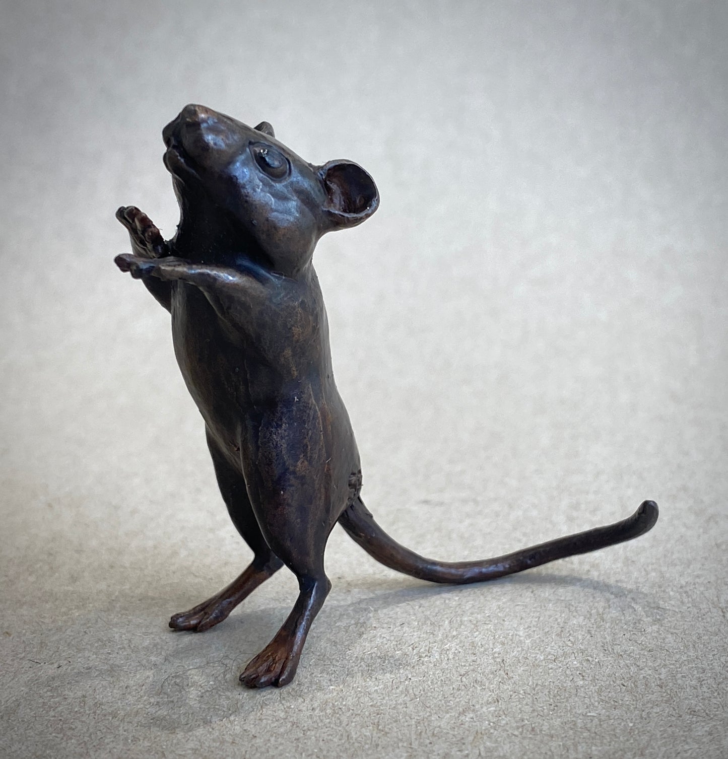Dormouse