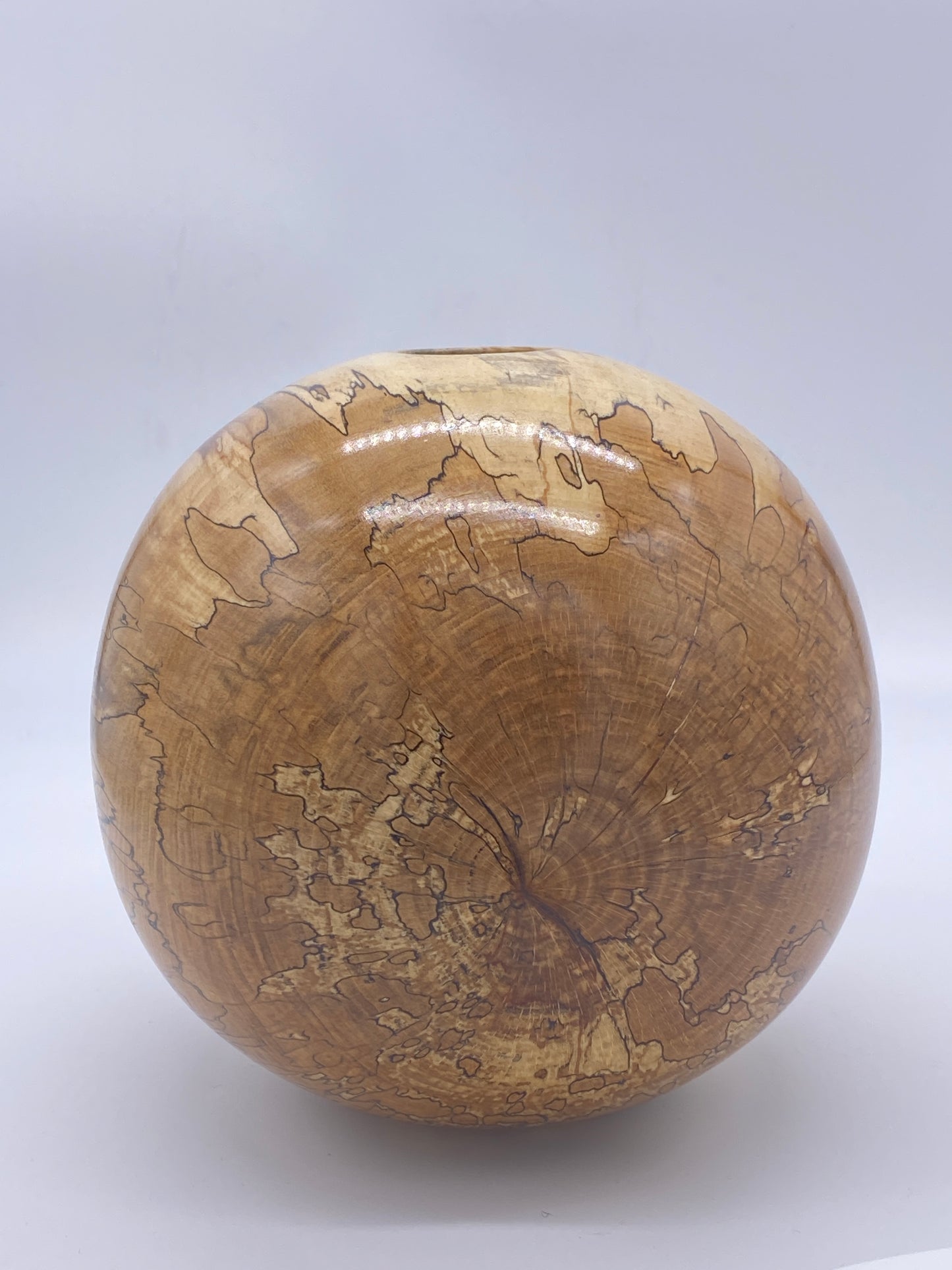 Polar - Spalted Beech Globe Form