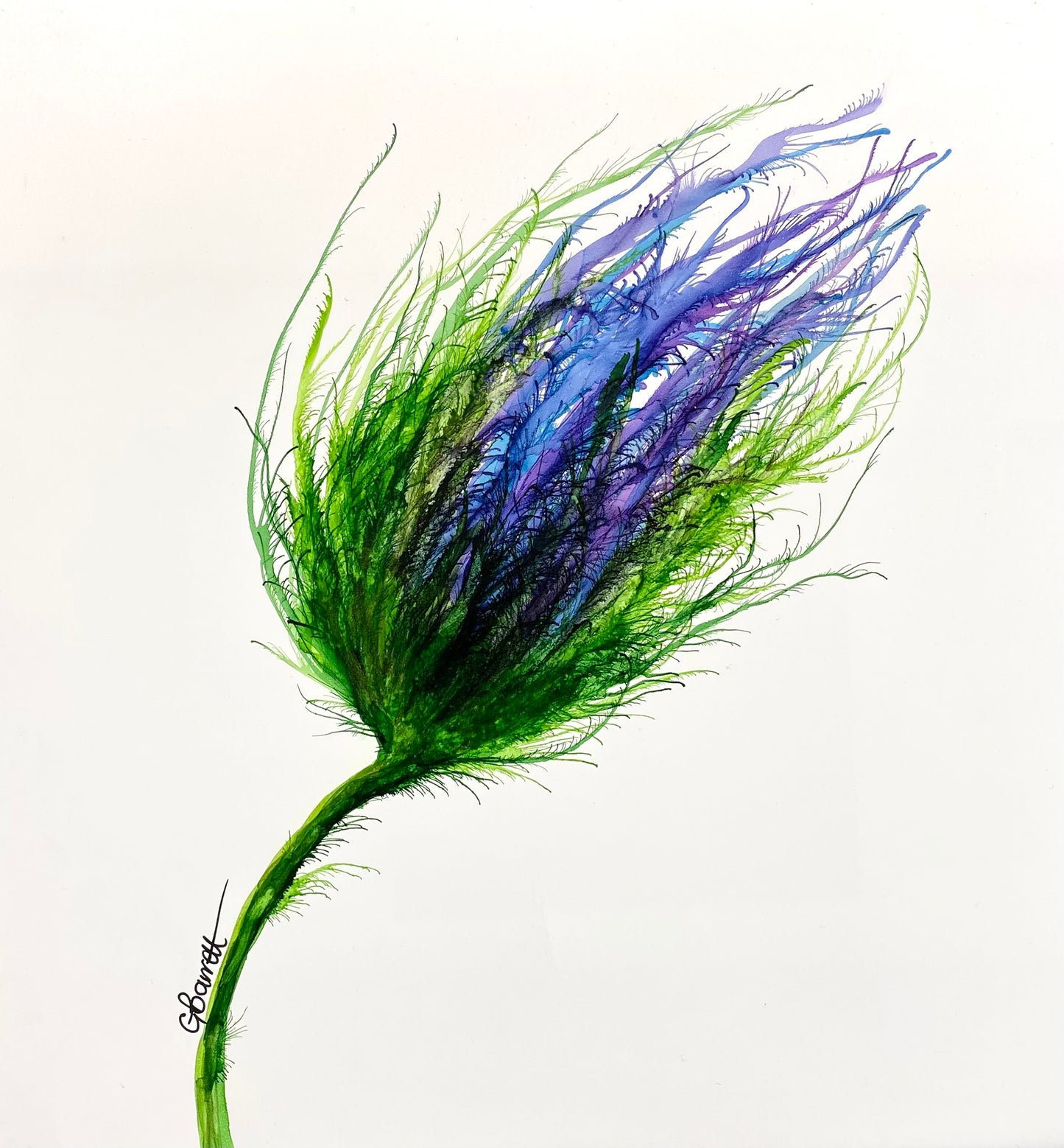 Windswept Thistle