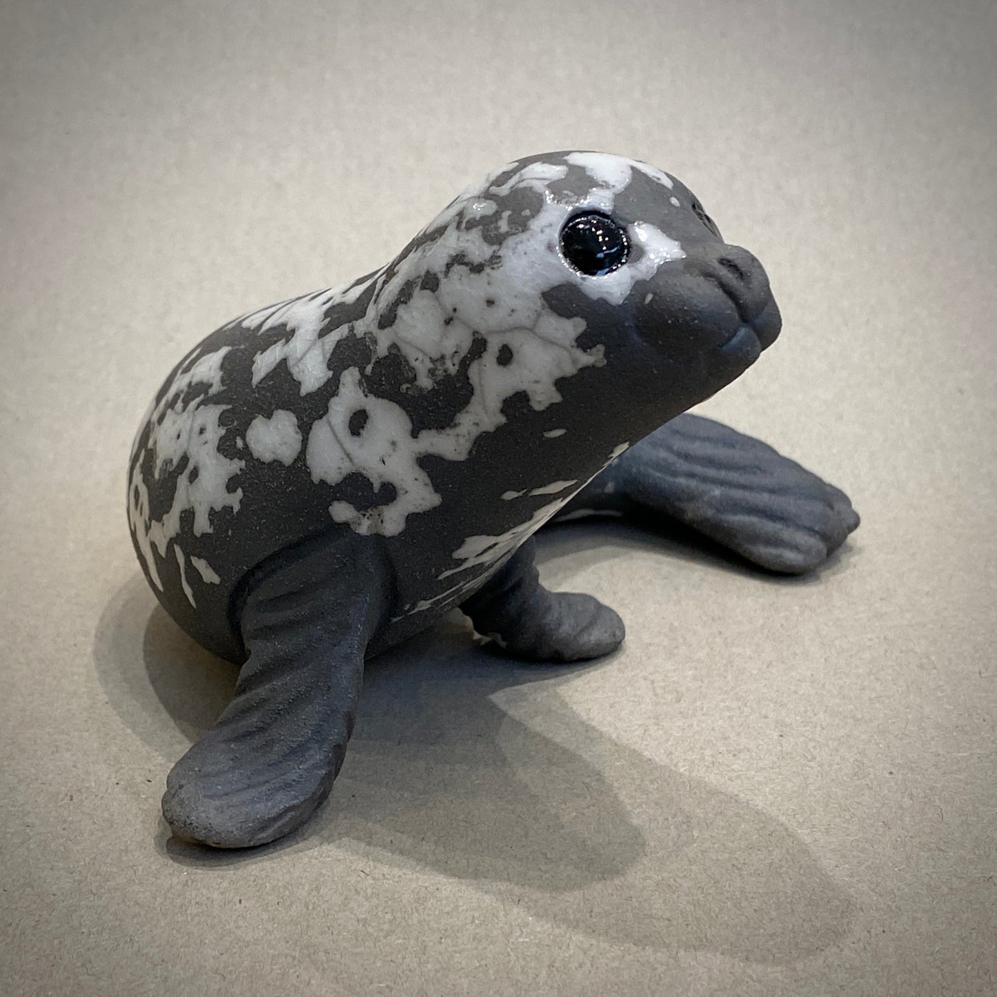 Medium Curled Seal