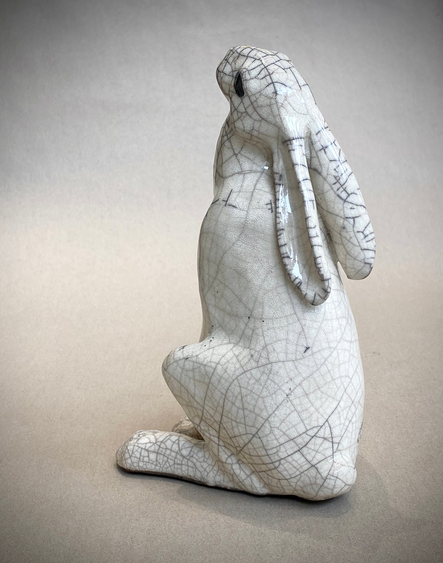 Medium Moongazing Hare