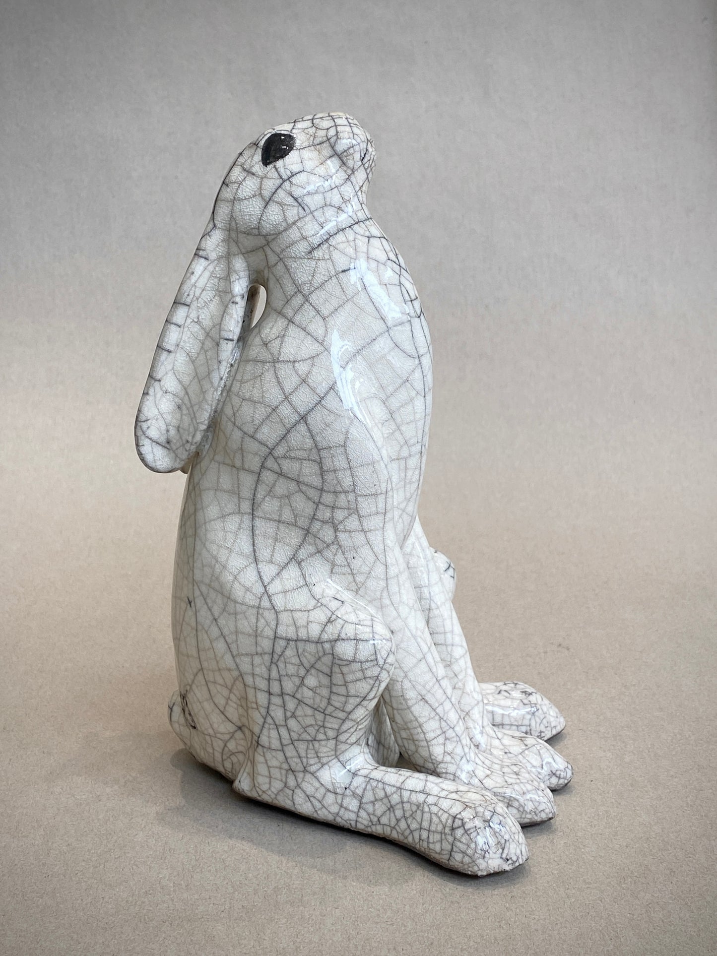 Medium Moongazing Hare