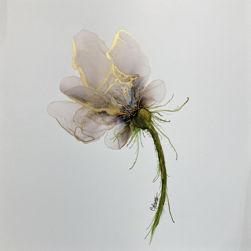Gill Barrett