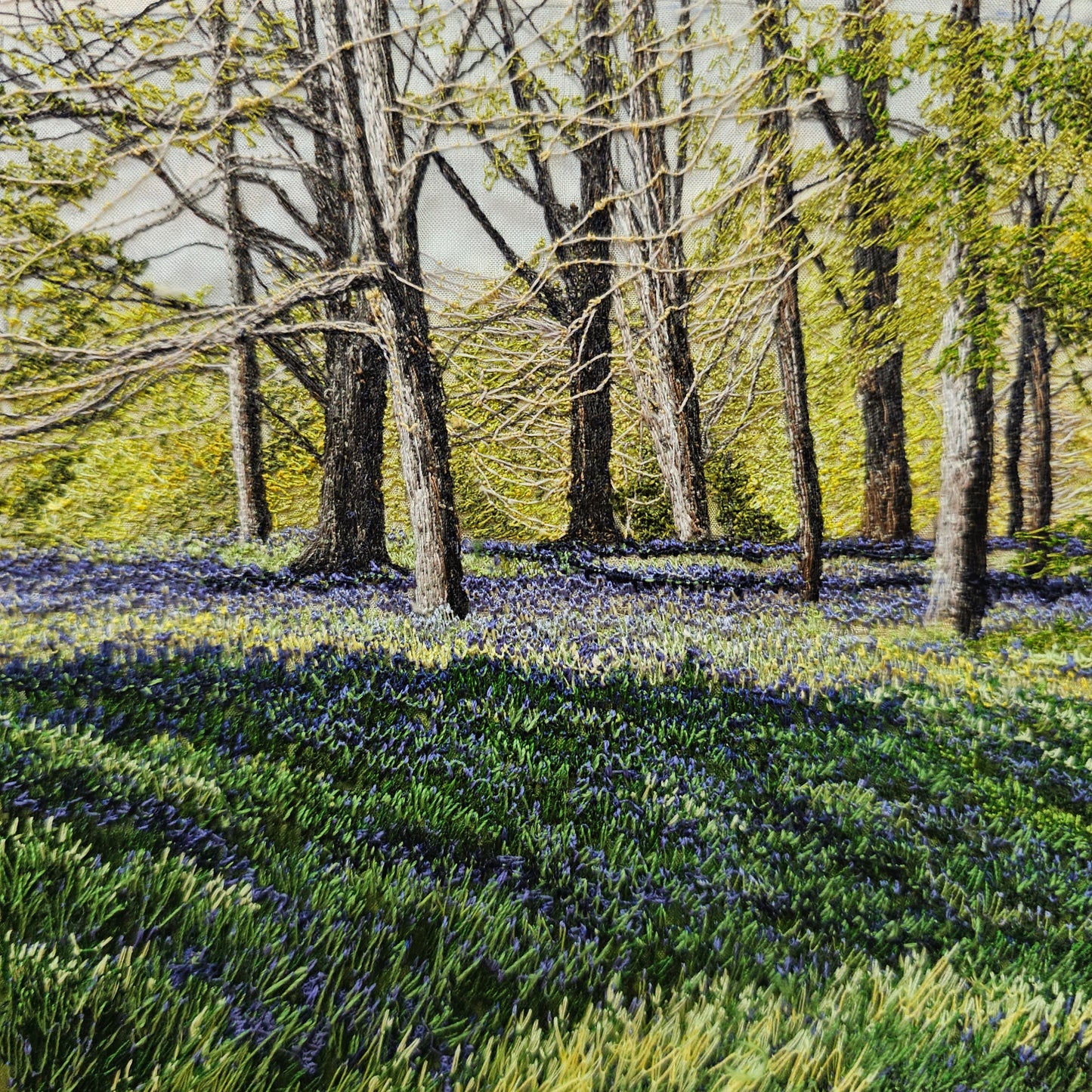 Bluebell Shadows