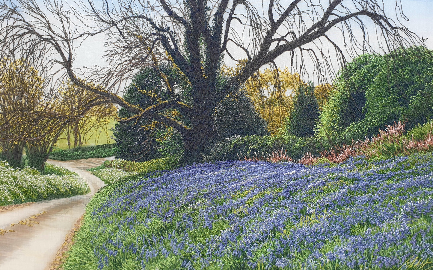 Bluebell Oak