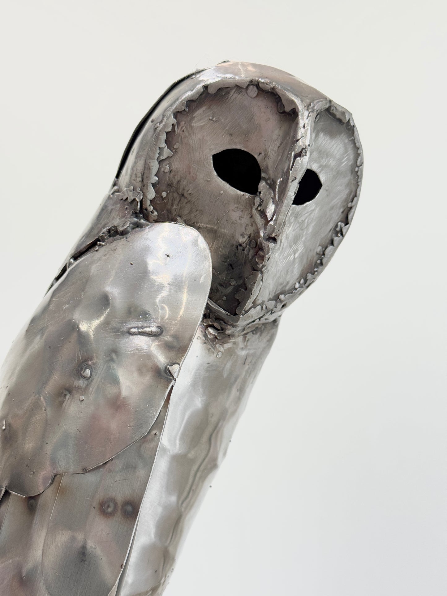 Sitting Owl