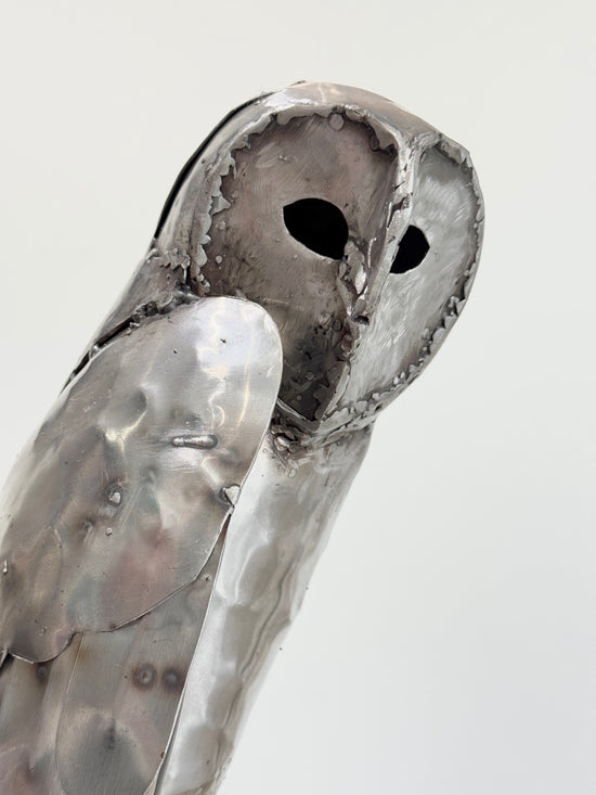 Sitting Owl