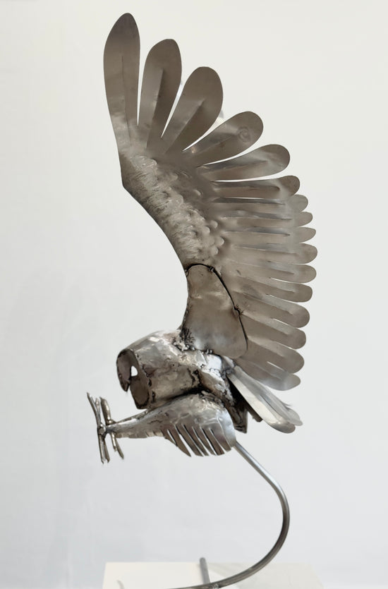 Swooping Owl