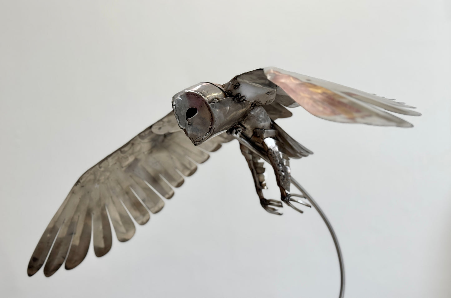 Flying Owl