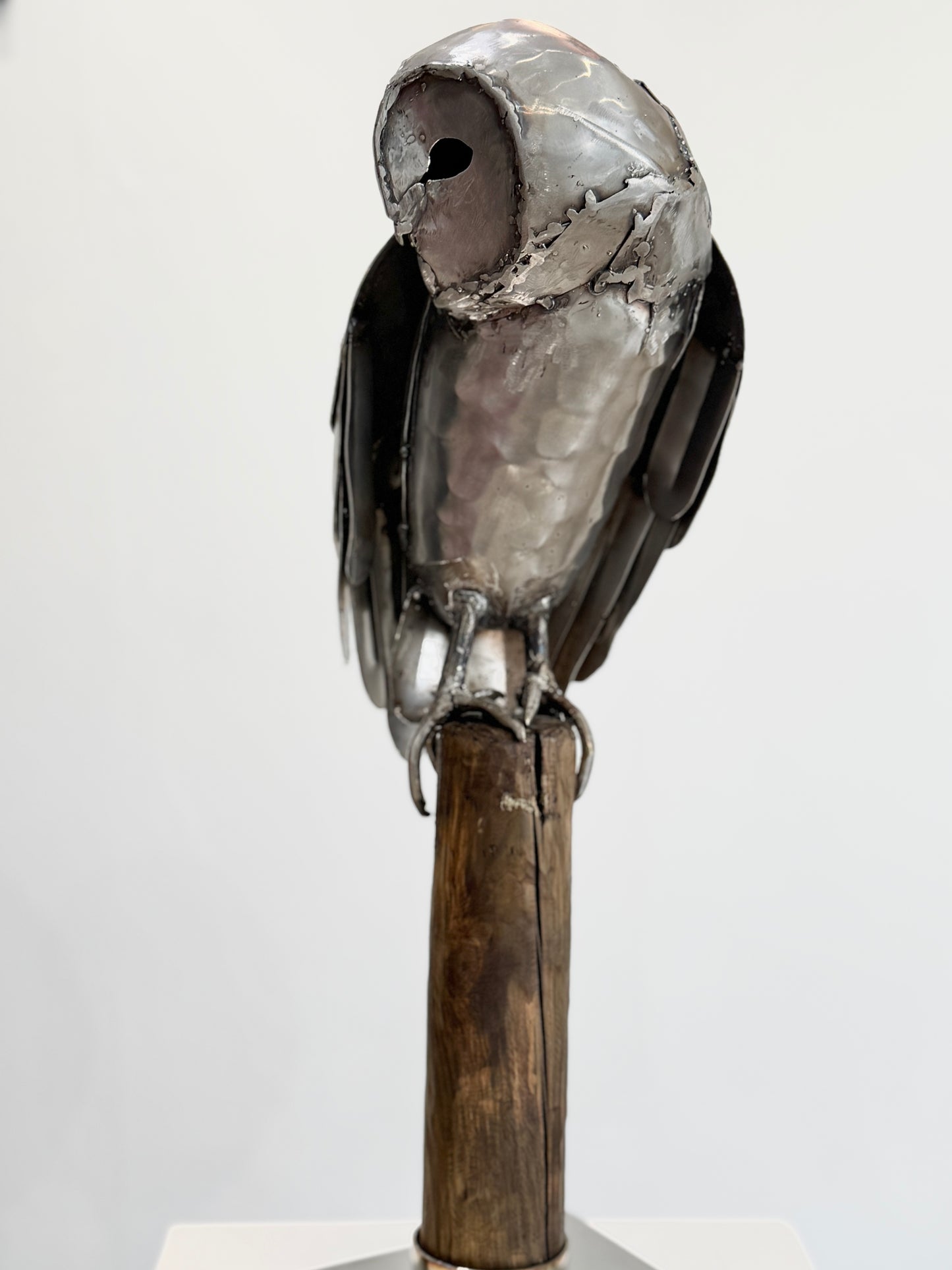 Sitting Owl