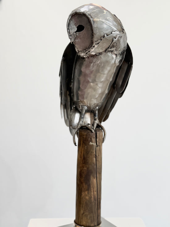 Sitting Owl
