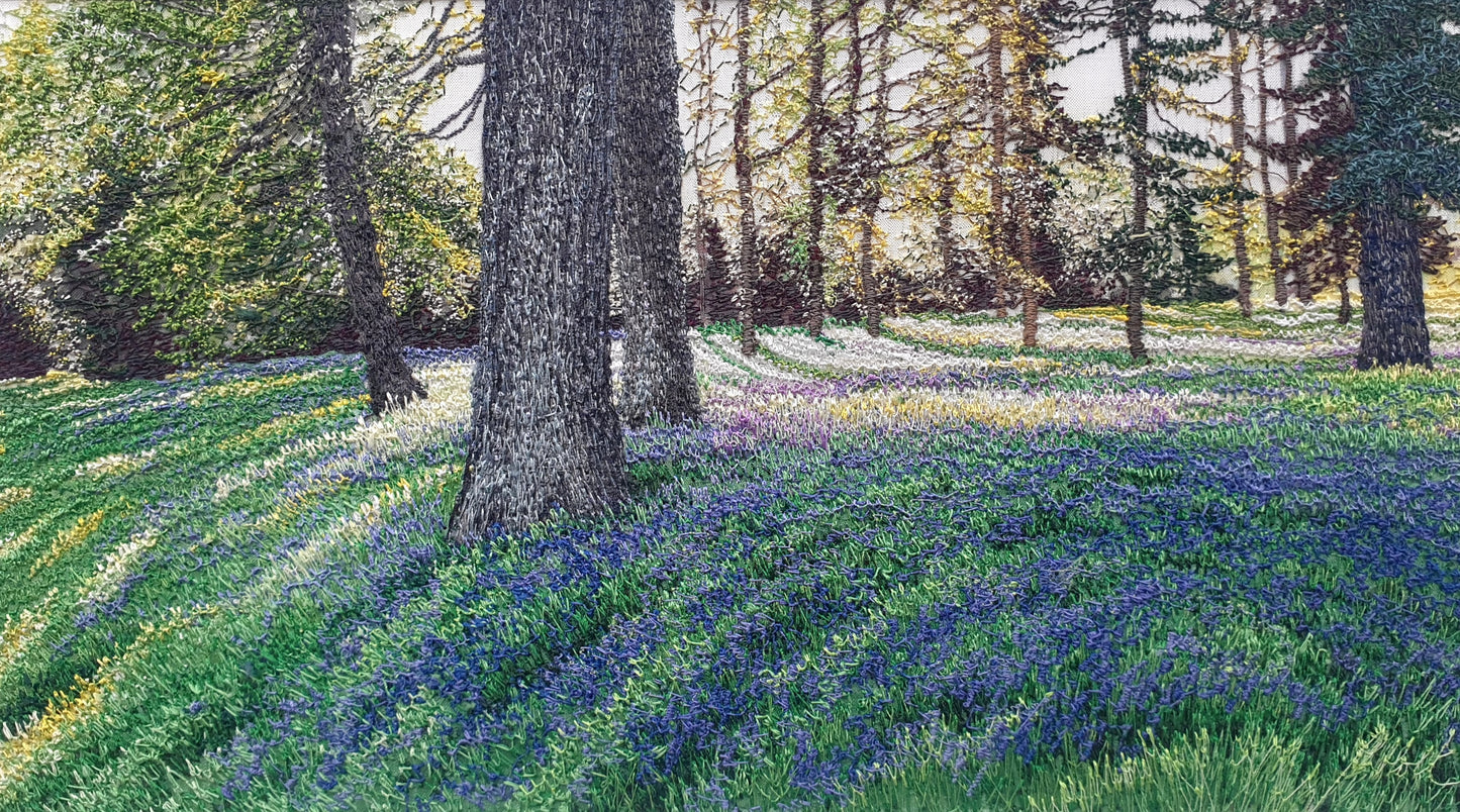 Sweep of Bluebells