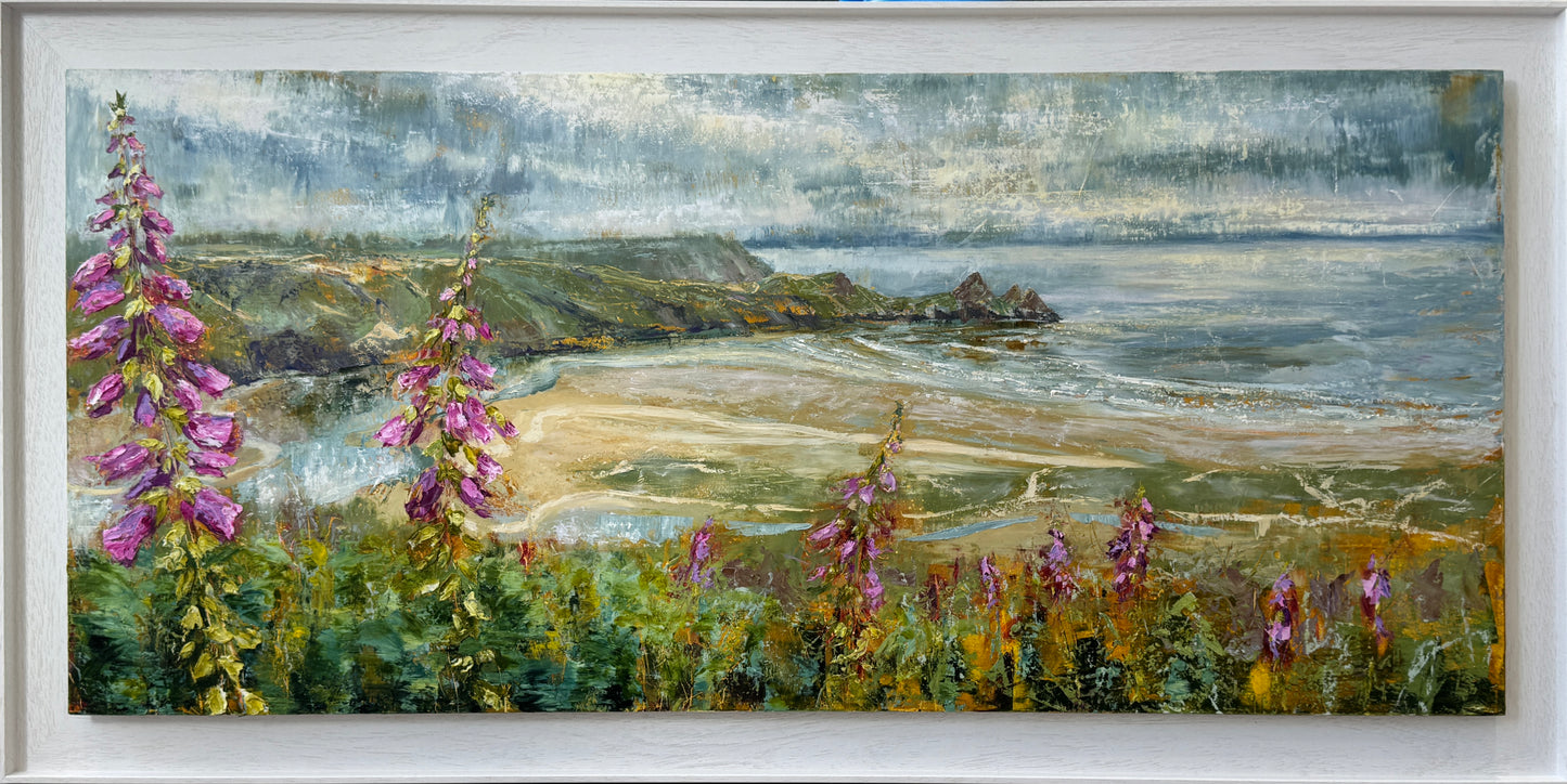 Foxgloves at Three Cliffs