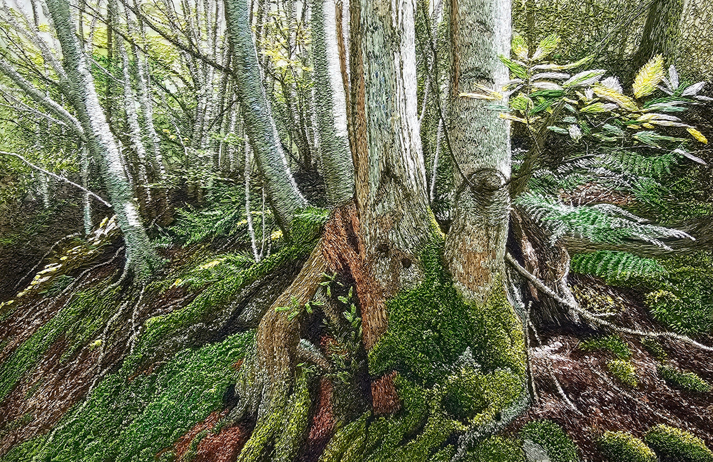 Mossy Roots