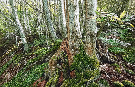 Mossy Roots