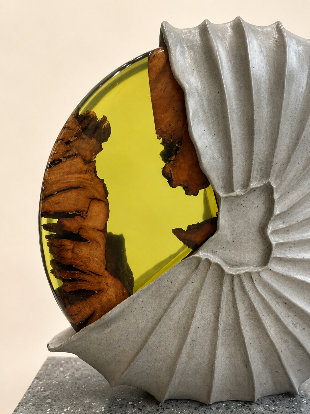 Fossil