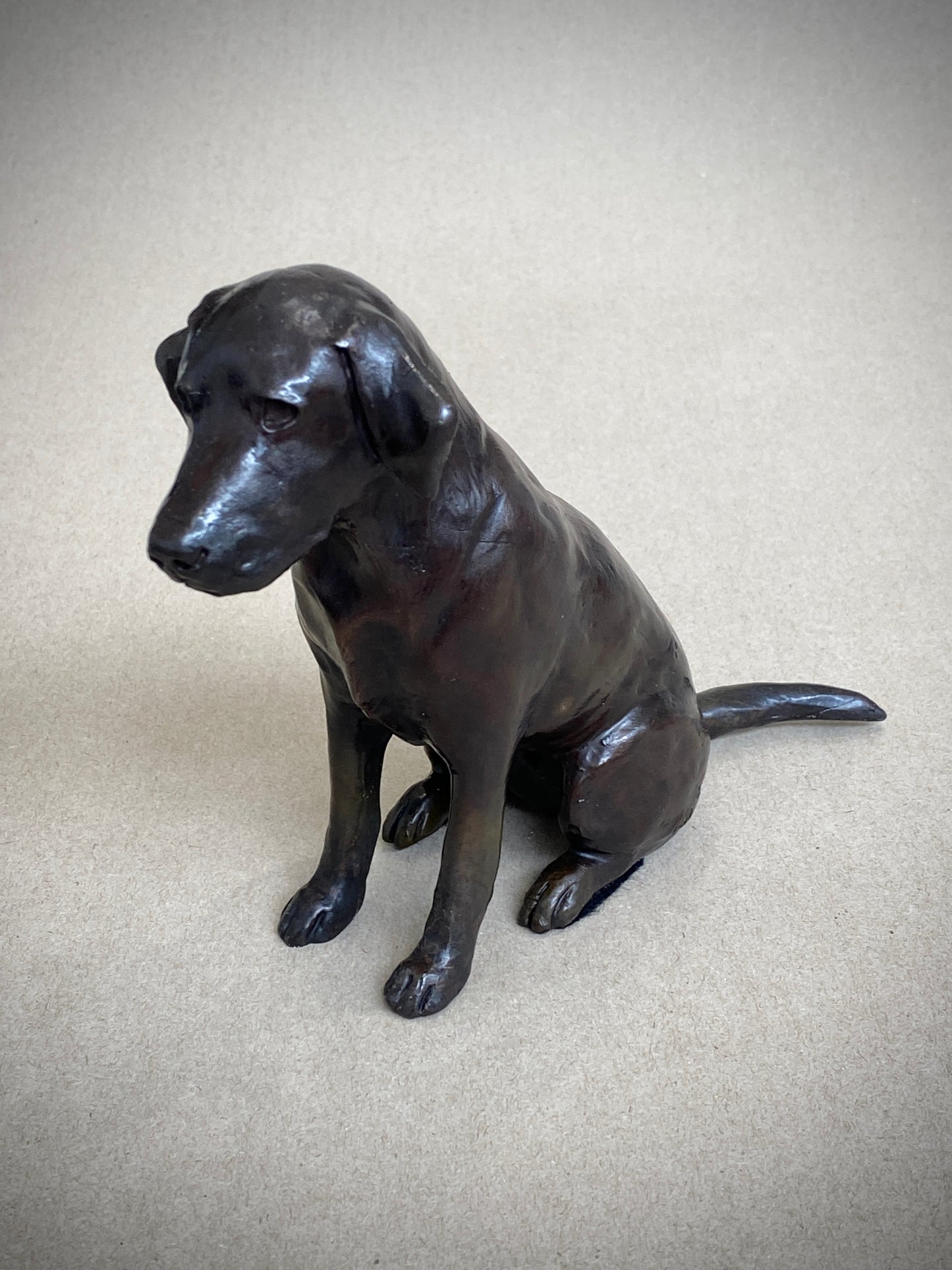 Labrador Seated