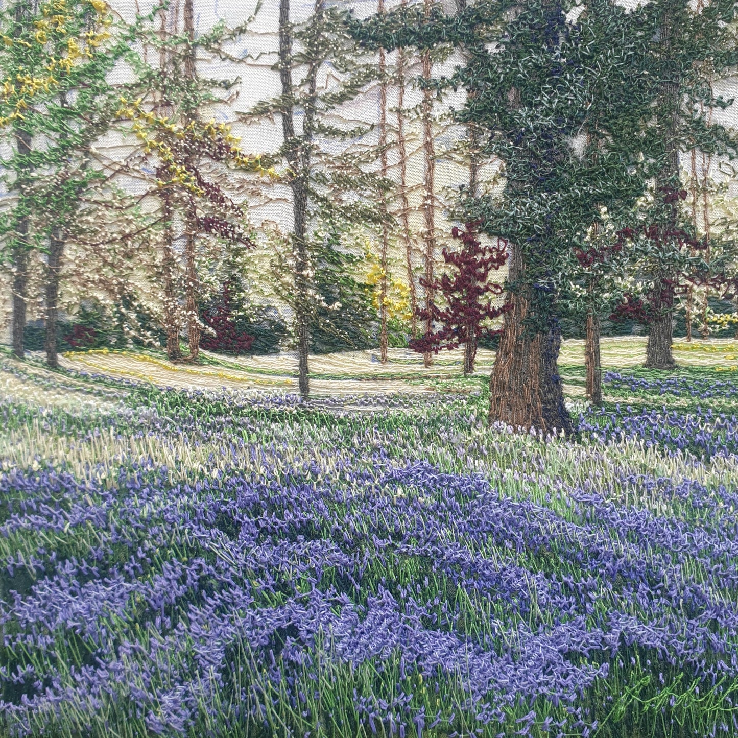 Sunlit Bluebells