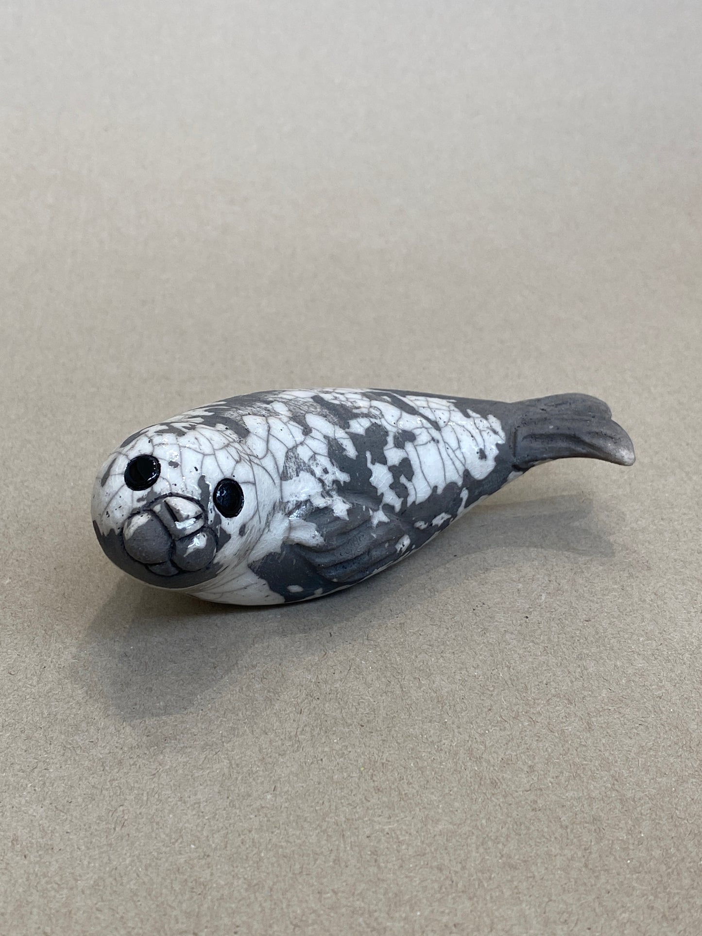 Seal Pup