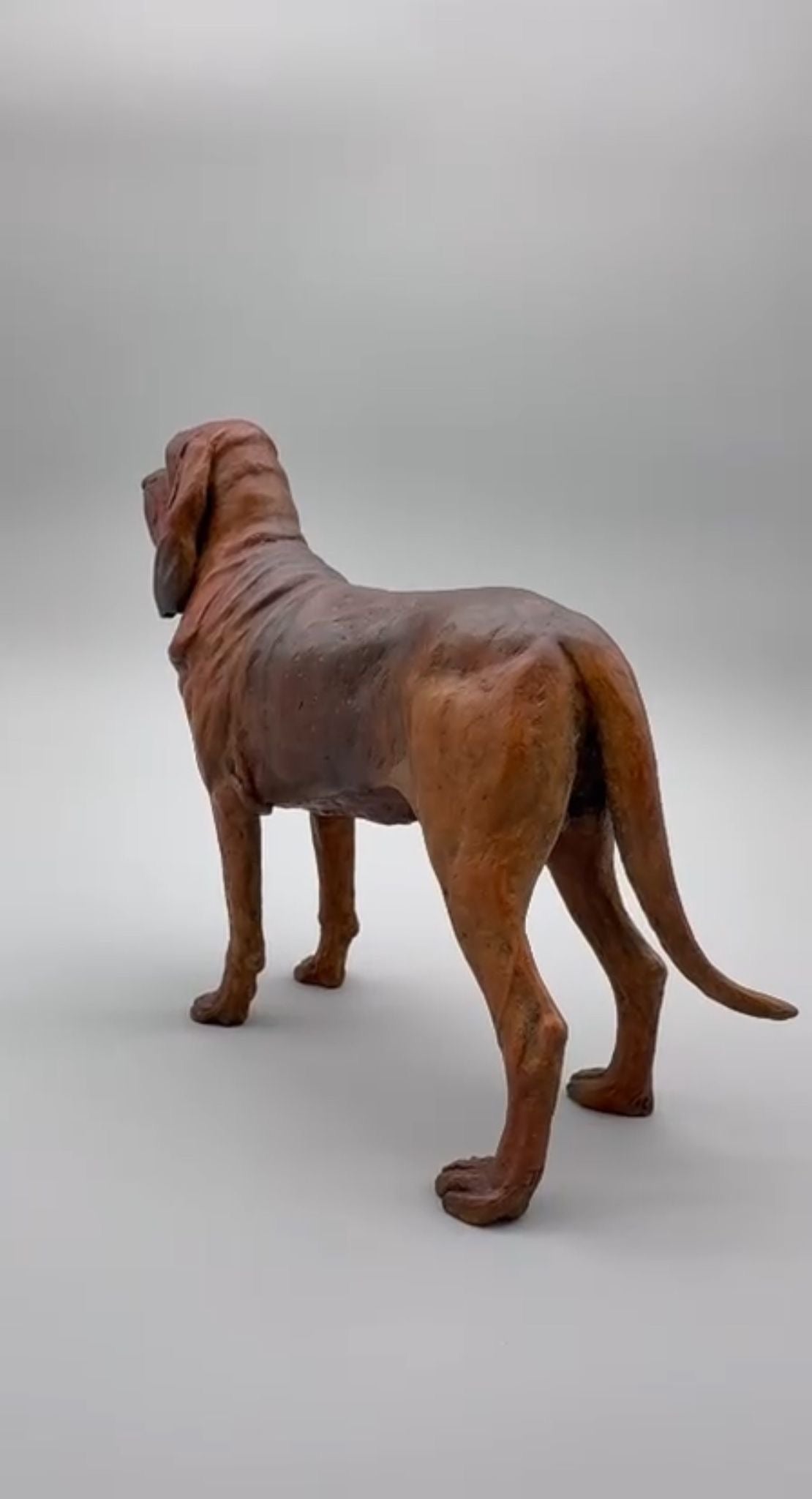 Bloodhound