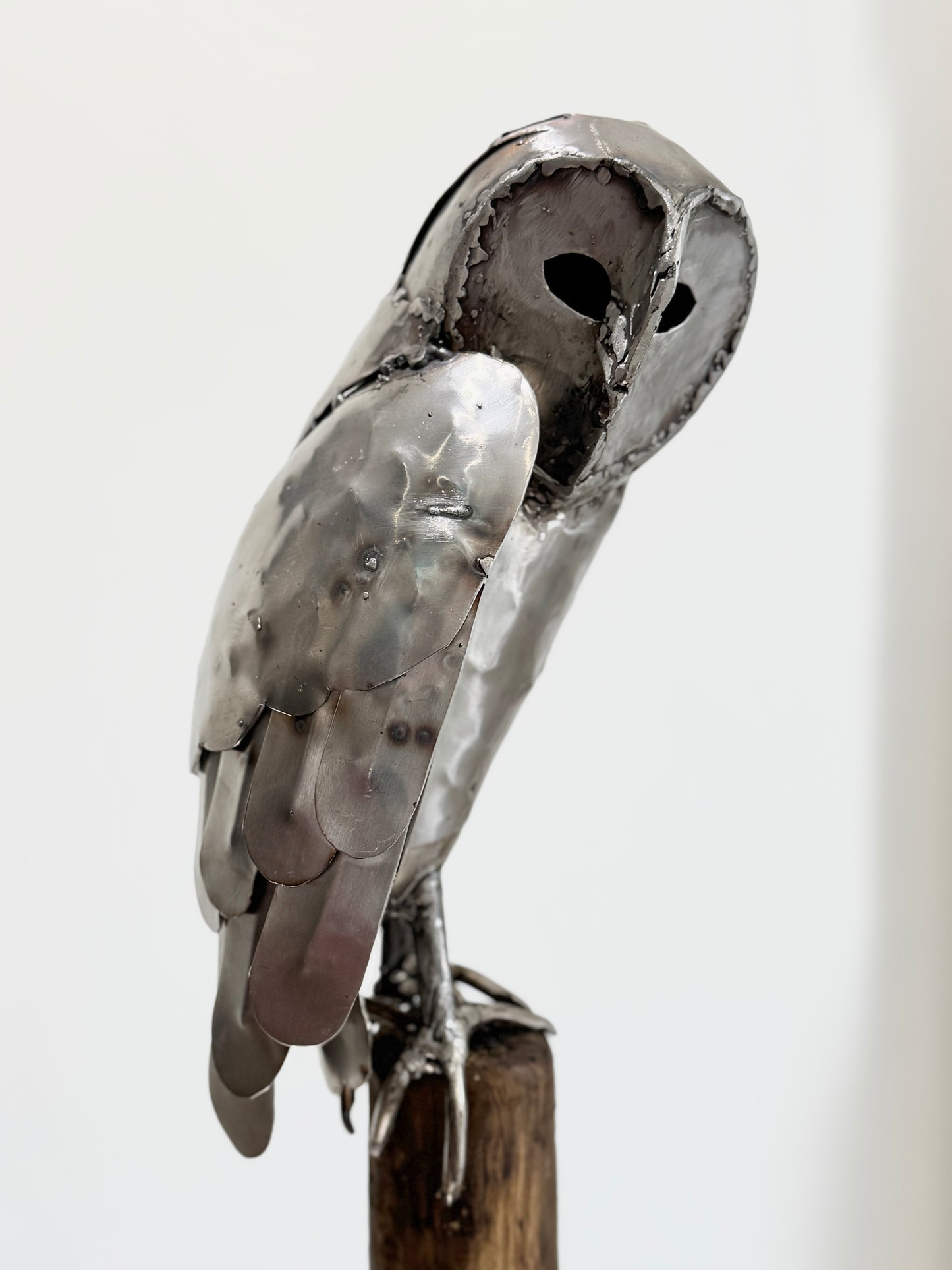 Sitting Owl