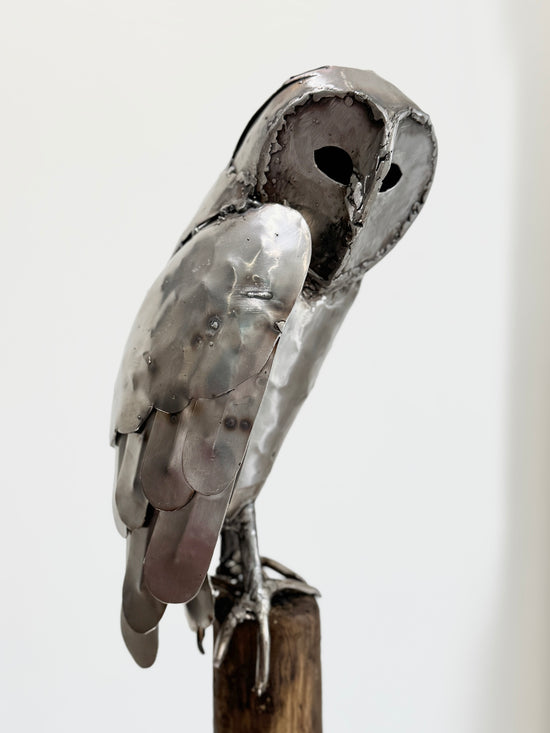 Sitting Owl