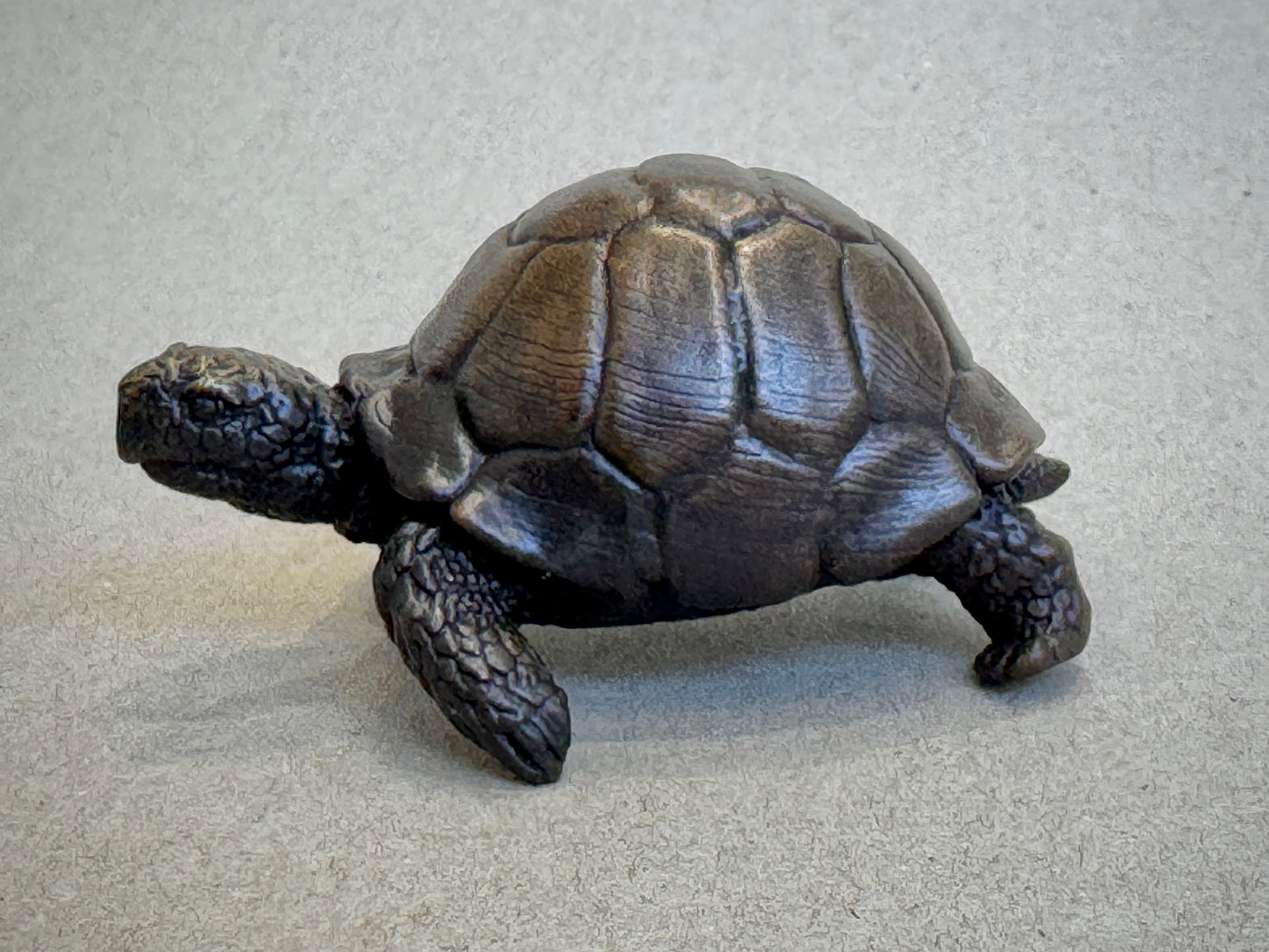 Tortoise