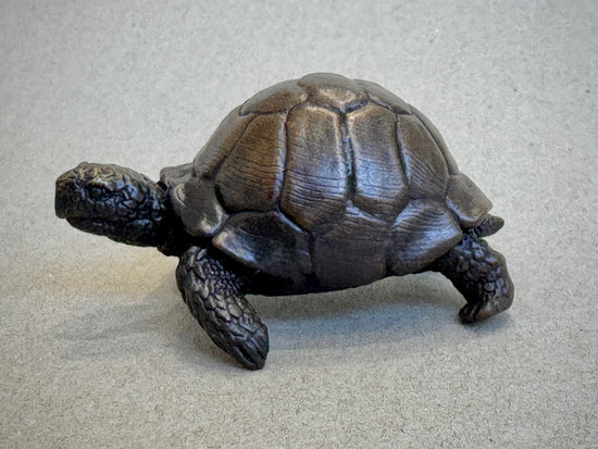 Tortoise