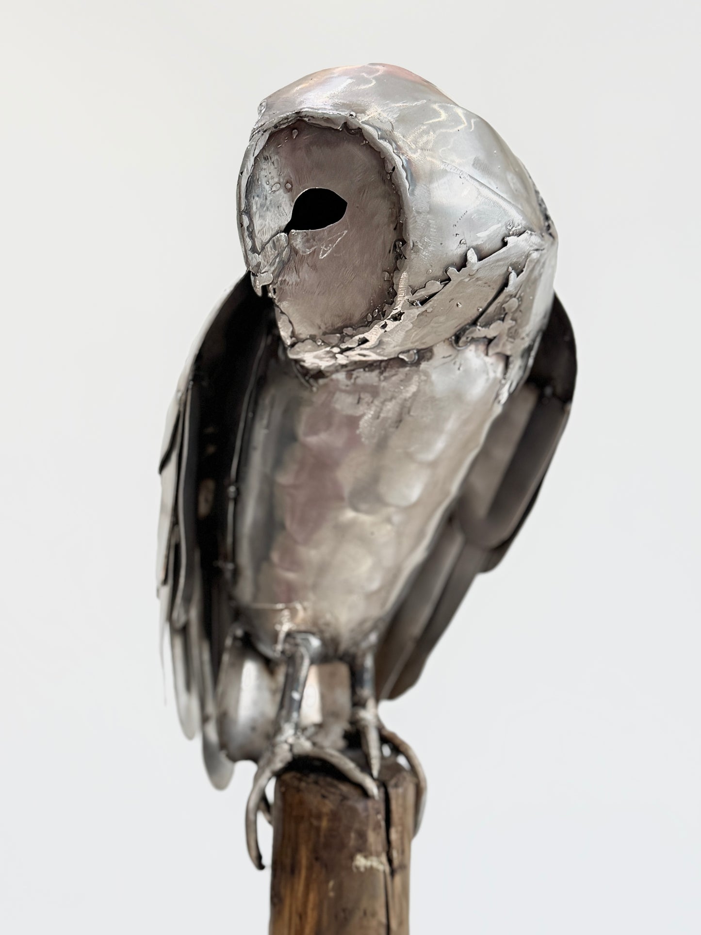 Sitting Owl