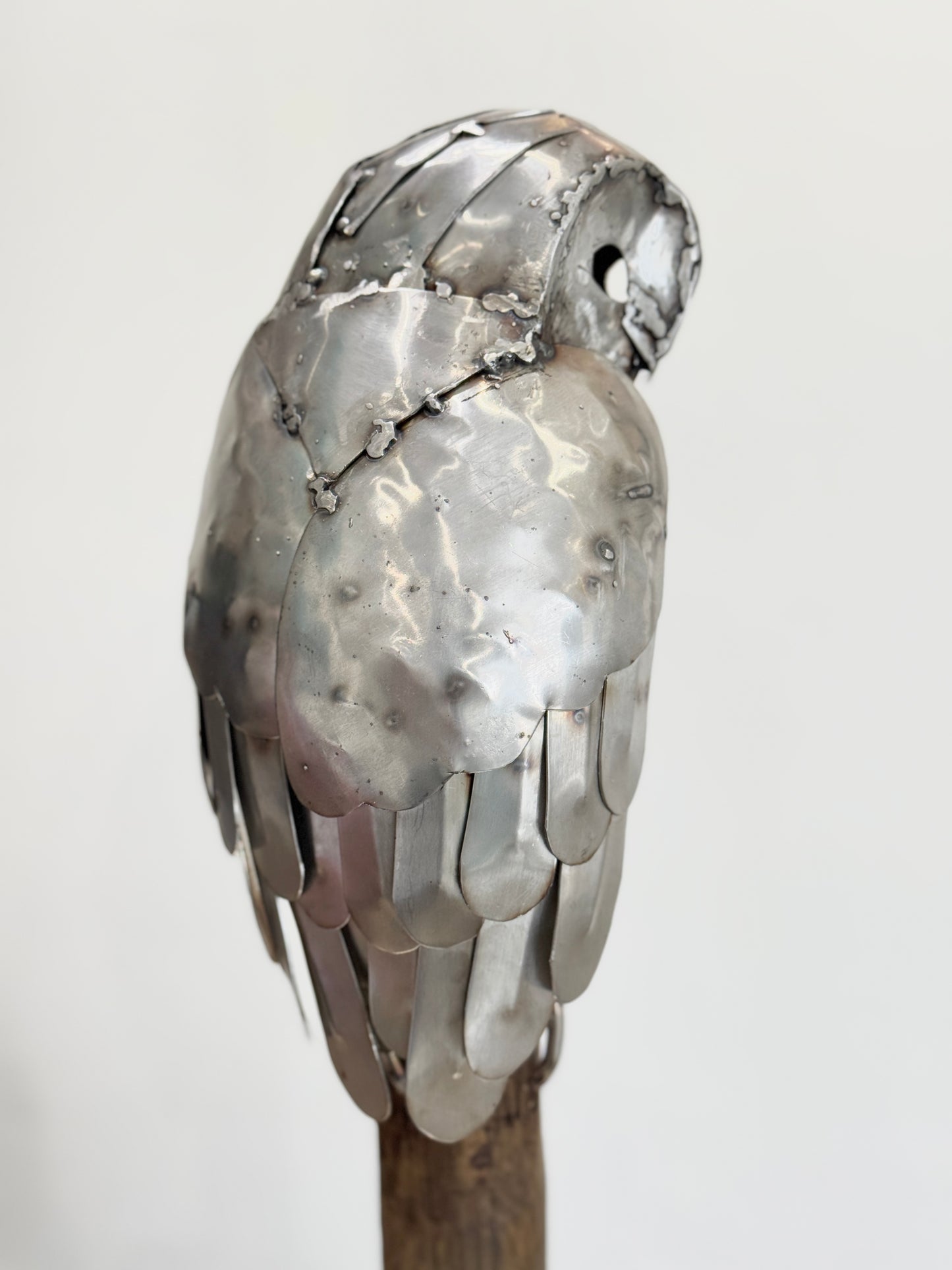 Sitting Owl