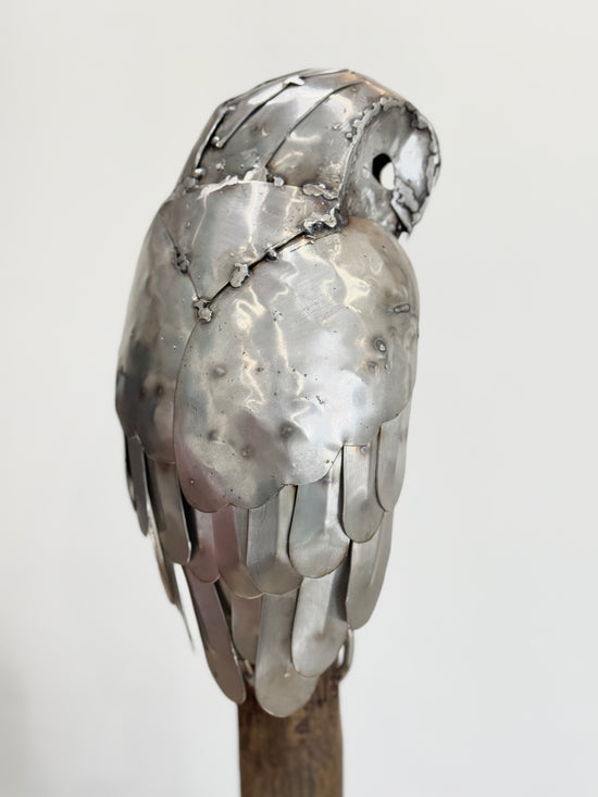 Sitting Owl