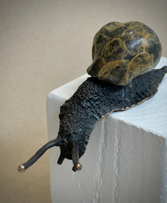 Descending Snail