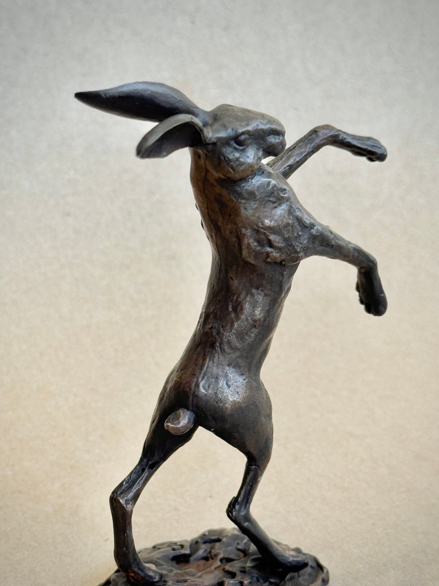 Dancing Hare