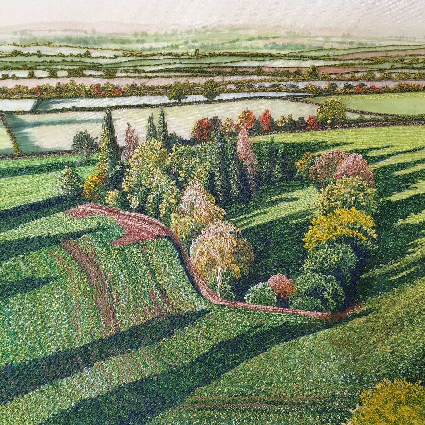 Across The Plain