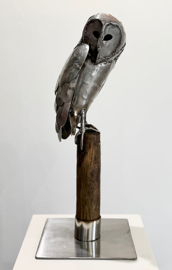 Sitting Owl