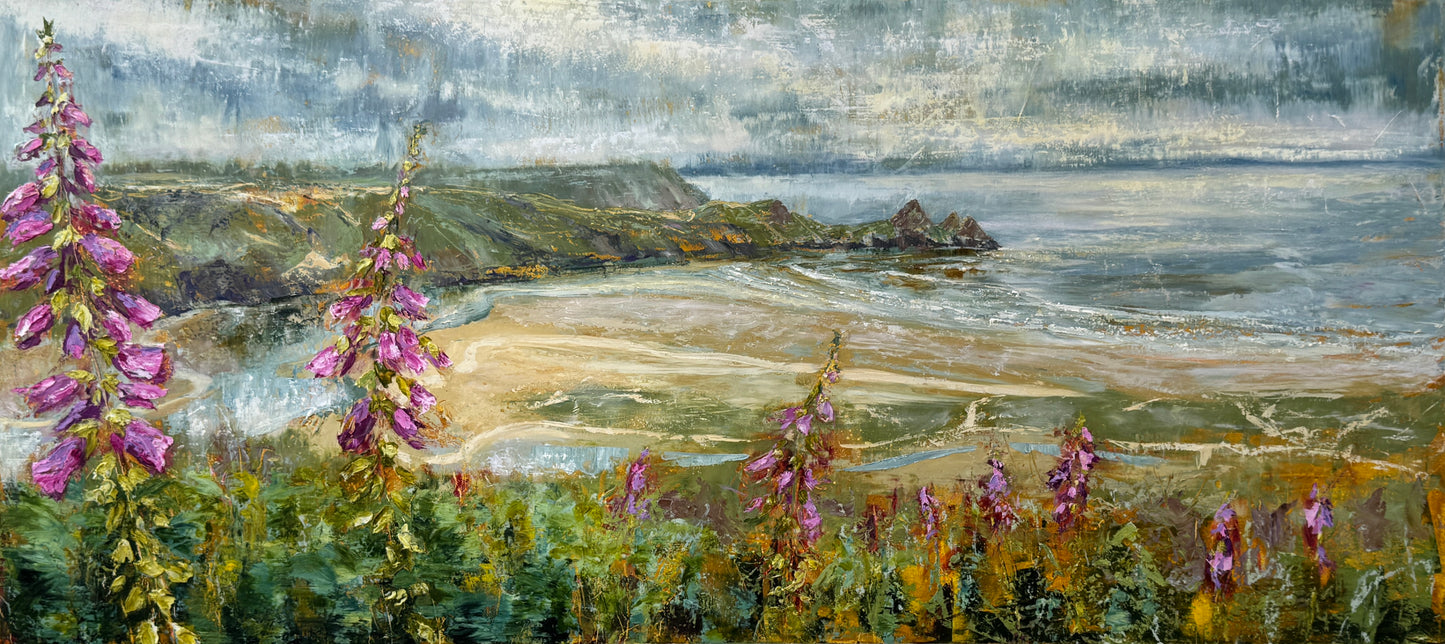 Foxgloves at Three Cliffs